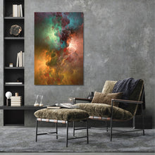 Afbeelding in Gallery-weergave laden, Viverdis